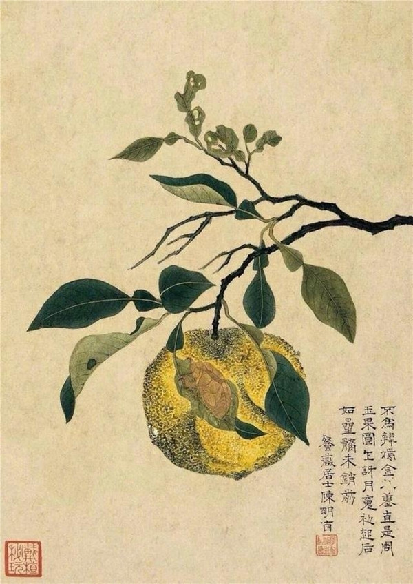 明清时代画家陈明自绘画的花卉动物