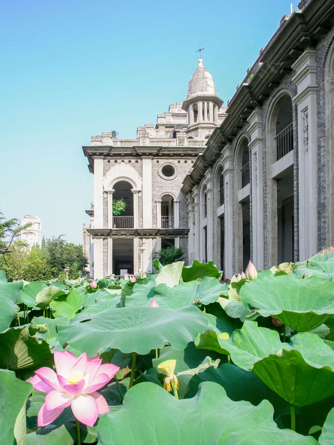 武汉闹市的尼姑庵，全中国最美寺庙古德寺