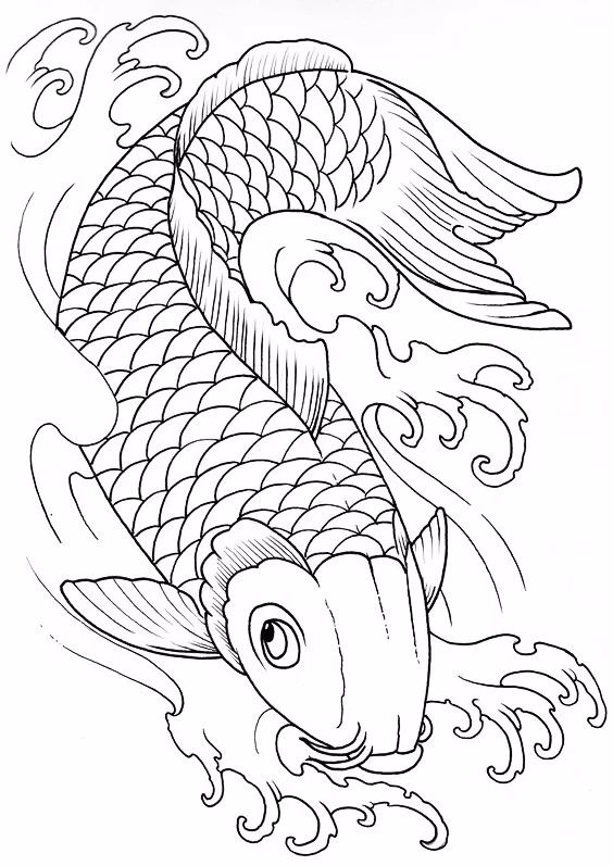 9幅白描画《鱼》：勾勒活灵活线的鱼