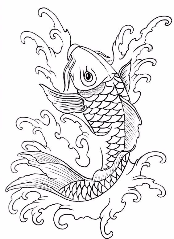 9幅白描画《鱼》：勾勒活灵活线的鱼