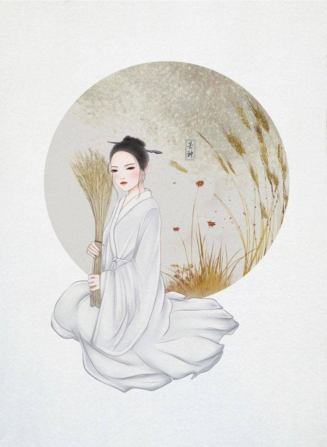 9款古风插画图片：二十四节气美人图