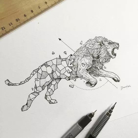 惊叹的动物手绘插画：学霸与艺术的完美融合