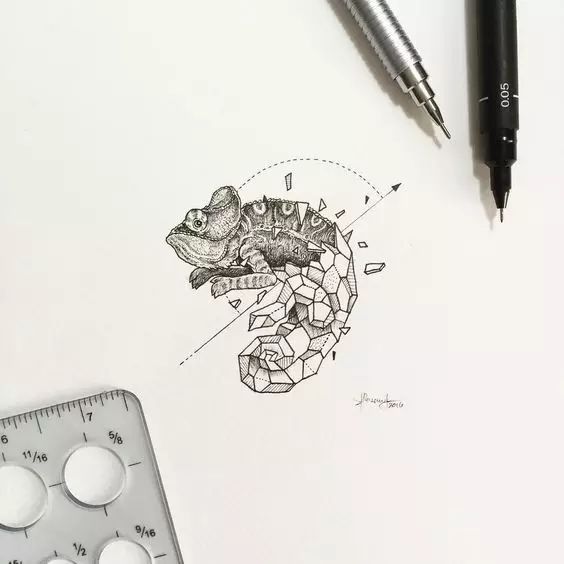 惊叹的动物手绘插画：学霸与艺术的完美融合