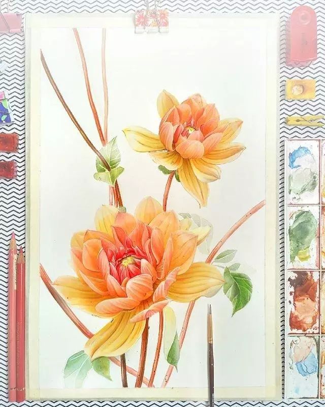 超逼真的水彩手绘插画，小清新植物插画图片