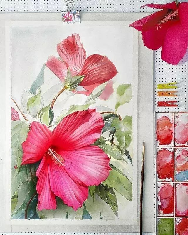 超逼真的水彩手绘插画，小清新植物插画图片