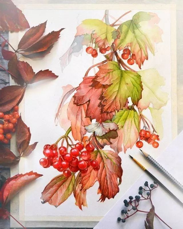 超逼真的水彩手绘插画，小清新植物插画图片