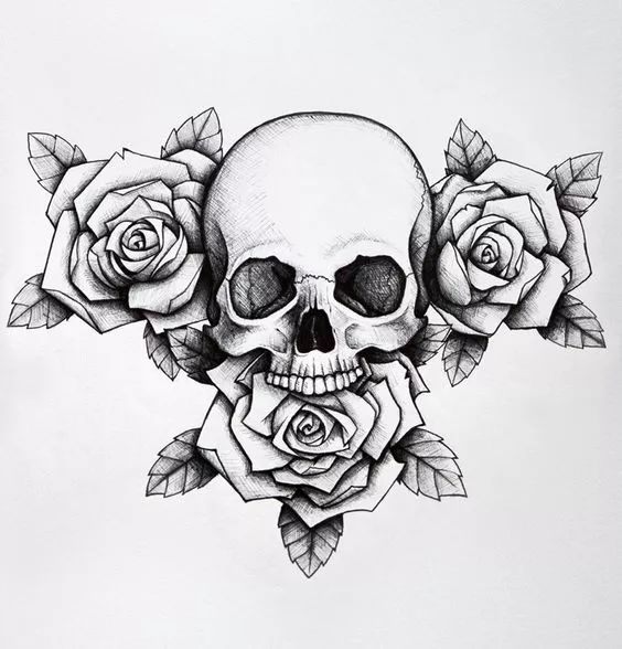 一组手绘骷髅头插画，犹如带刺的玫瑰！