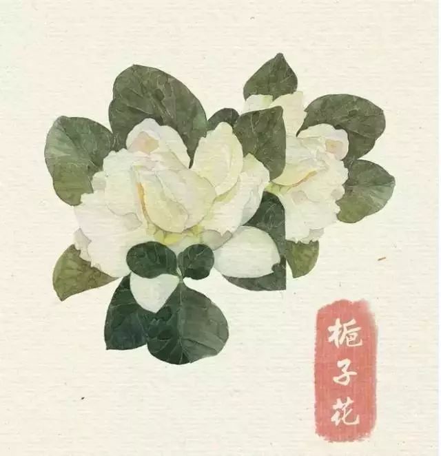 40款绝美水彩花卉手绘插画赏析