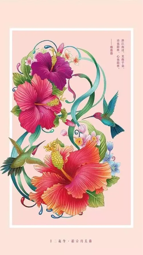 十二花令插画图片：以花为媒四季流转