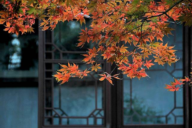 中国人在秋天的九种情调，唯美古风句子