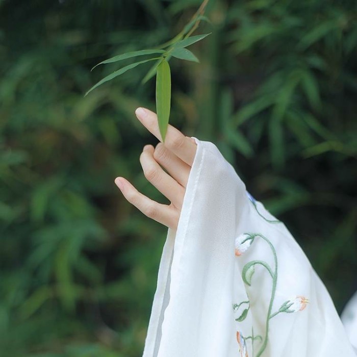 玉手抚枝古风头像，唯美女子纤手头像