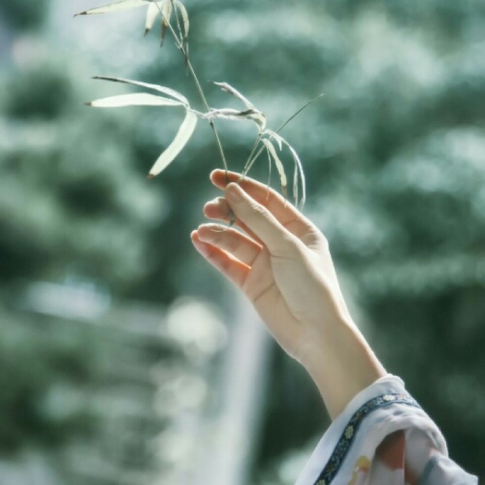 玉手抚枝古风头像，唯美女子纤手头像