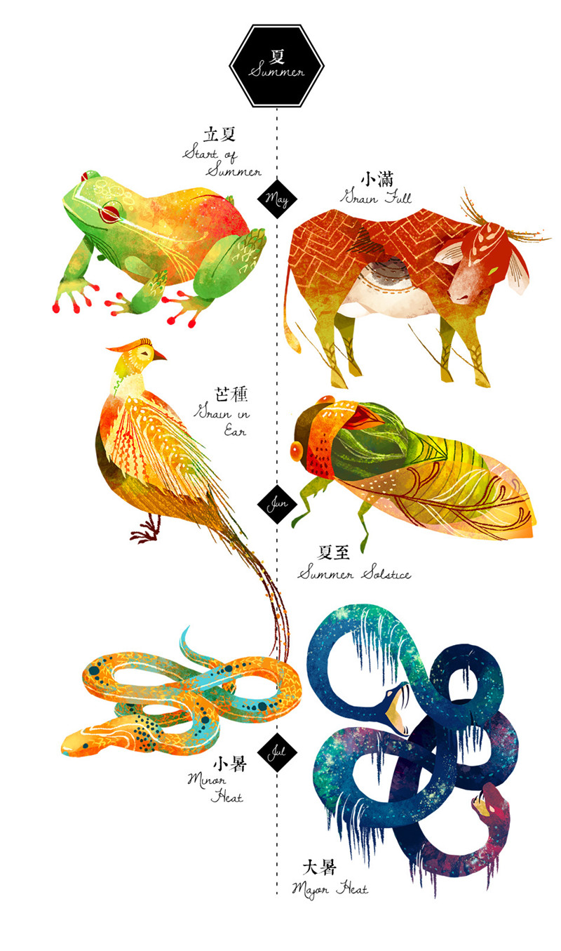 24节气动物形象设计插画