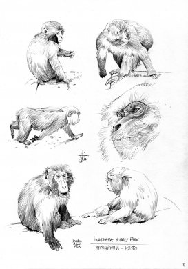 一组动物手绘插画