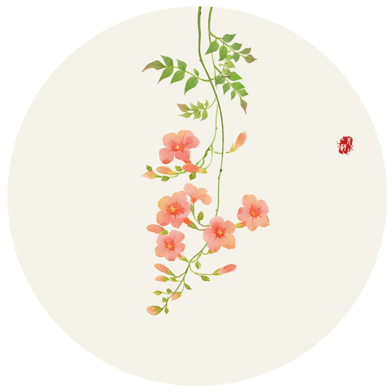 唯美花卉插画图片