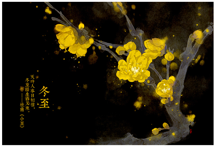 唯美的24节气花卉插画，品味古老的诗之清韵