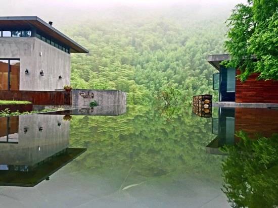 莫干山悠然九希，面朝竹海背向茶山的避暑圣地