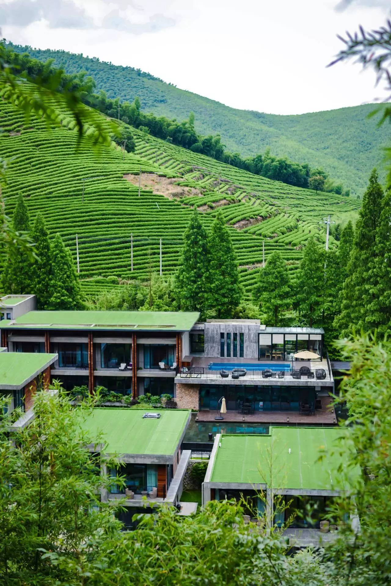 莫干山悠然九希，面朝竹海背向茶山的避暑圣地