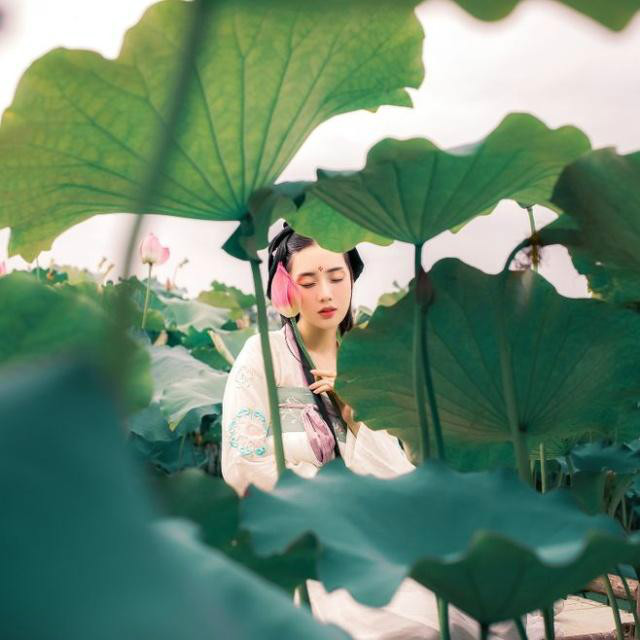 古风摄影：莲花深处的美丽